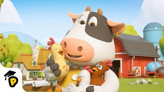 Moo's Chicken Coop | Build it | Kids Learning Cartoon | Dr. Panda TotoTime