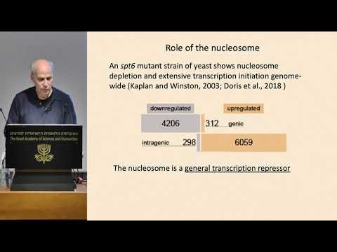 Structural Biology | D1 10/21 Keynote Lecture - The Molecular Basis of Eukaryotic. - Roger Kornberg