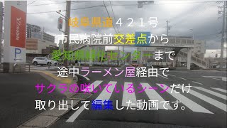 岐阜県多治見市から愛知県緑化センターまでのサクラドライブです。