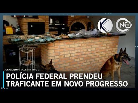 Traficante procurado pela Polícia Federal desde 2020 é preso em Novo Progresso (PA) | SBT Altamira