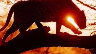 Geoffrey Oryema - Solitude