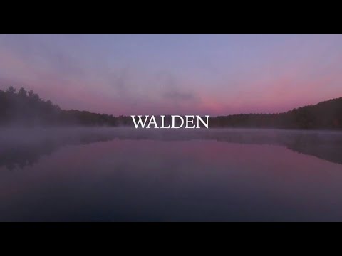 Walden Film