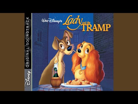 The Siamese Cat Song/What's Going on Down There (From "Lady and the Tramp"/Soundtrack Version)