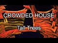 CROWDED HOUSE - Tall Trees (Lyric Video)
