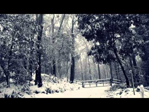 Agalloch - (Serpens Cauda)