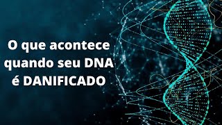 O INCRÍVEL sistema de REPARO de DNA