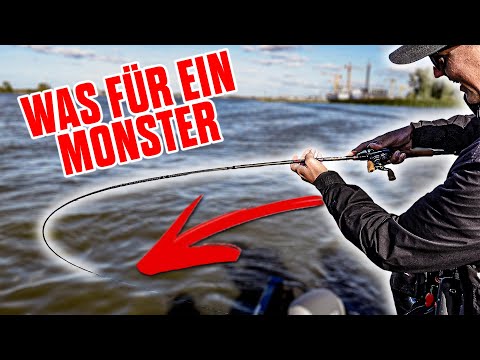 Flussmonster am Haken!