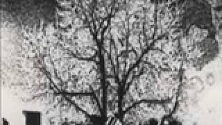 It Won't Come Again. The Bevis Frond (New River Head)