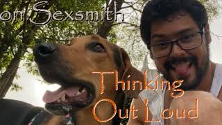 Ron Sexsmith 🔊 Thinking Out Loud