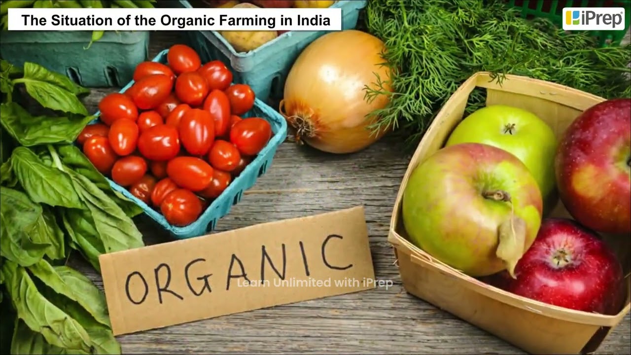 Sustainable Development and Organic Farming | Rural Development  | Economics | Class 11th | iPrep