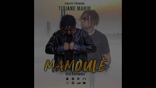 Download lagu Tidiane Mario Mamoulé mp3 Download lagu Tidiane Mario Mamoulé mp3