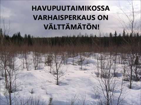 Metsolan Metsäkoulu 19. Kiertoaikaa lyhemmäksi.