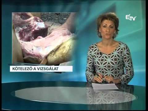 Híradó 2015. december 8. – Erdélyi Magyar Televízió