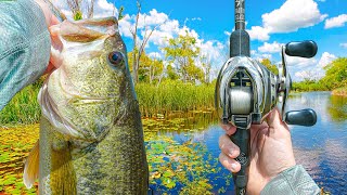 Searching For BIG Bass In The Dead Summer HEAT (Crazy Bites)