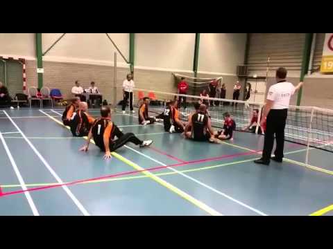 Zitvolleybal vc nesselande