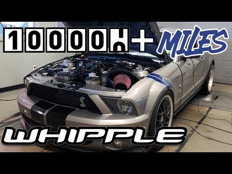 2009 Mustang GT500 Whipple Supercharger (106K Miles!) 650 rwhp Dyno at Brenspeed