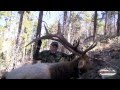 Late Elk Hunt in Arizona! 