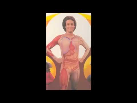 DOUBLE VISION, but Dolphin Censored