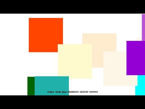 Video #web-pkg-20200223-103335-353844