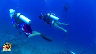 preview picture of video 'Fun Dive Hukurila,  Ambon'