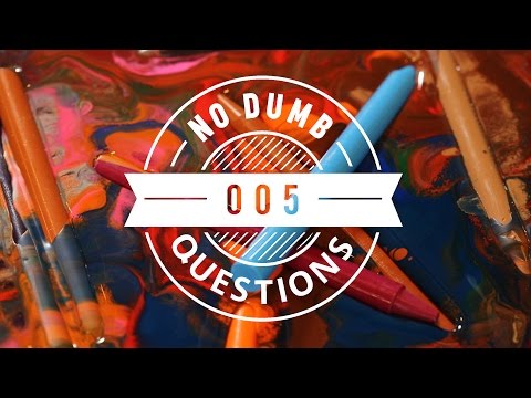No Dumb Questions 005 - Backwards Talking and other Freaky Human Skills