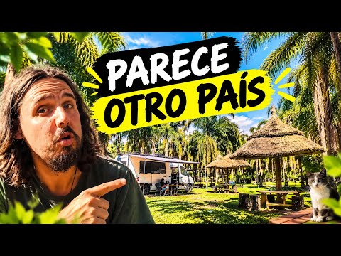 Cámping Gratis en Tucumán que parece de otro país 