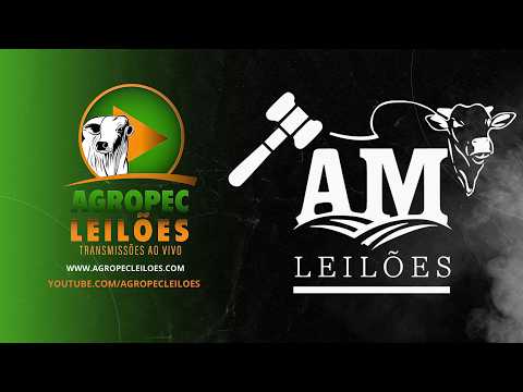 agropecleiloes.com - LEILÃO ESPECIAL GADO DE CORTE | AM LEILÕES - GURUPI-TO 30/08/2026