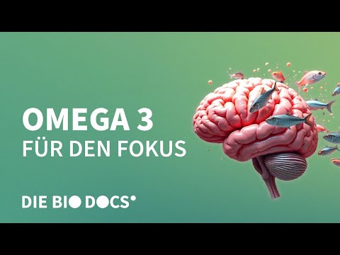 Omega-3 Fettsäuren: Dein Gamechanger für Gehirn, Herz & Haut