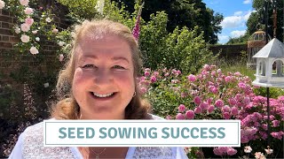 Clematis Seedlings Update, Planting Patio Containers // Cottoverdi