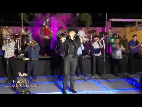Concierto live Francisco El Gallo Elizalde