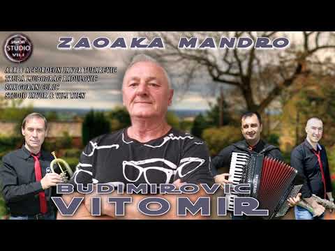 Vitomir Budimirovic ZOAKA MANDRO