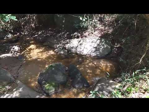 Mais um vídeo do Riacho do Curralinho para vocês em outro local.