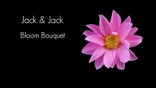 Bloom Bouquet - Jack &amp; Jack lyrics
