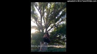 MENTAL MISERY-HAZEL(PROD.MelloWMindZ)