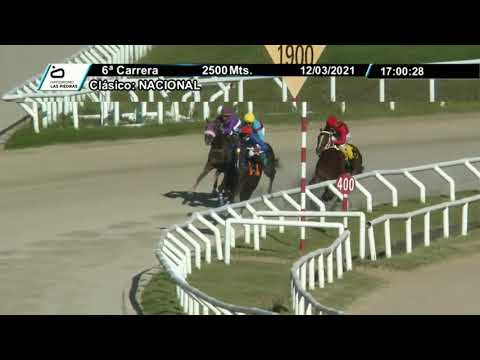210312 c06 - LEOPARDO REAL - GRAN PREMIO NACIONAL - HIPODROMO LAS PIEDRAS