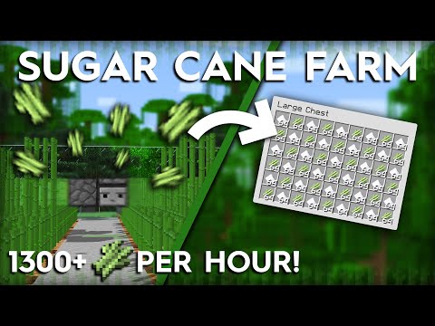 Shulkercraft - Minecraft Sugar Cane Farm - 1300 Per Hour - 1.16/1.15