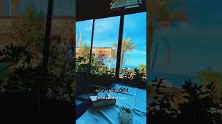 راحة نفسية ️ حالات صلاح الباجي سورة التغابن