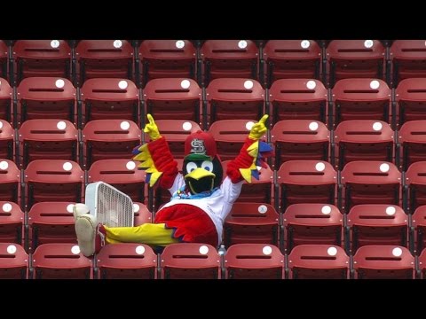 SD@STL: Fredbird relaxes in his own personal section