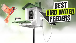 3 BEST Bird Water Feeder