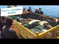 Daily Scuba News Divers Find A Secret