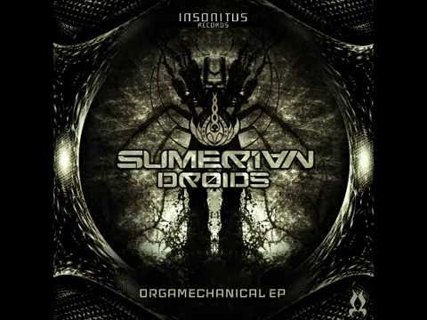 Sumerian Droids-Humanoid Beings