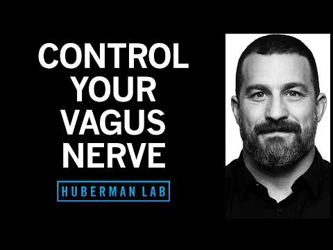 Control Your Vagus Nerve to Improve Mood, Alertness & Neuroplasticity