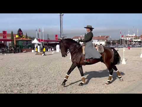 Nicole e Hábil - Prova Maneabilidade