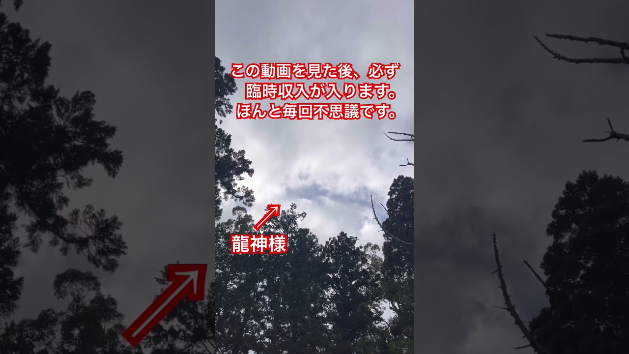 龍神速報！願いごとはコメント欄へ #今日から開運 #パワースポット一人旅 #金運 #縁結び#家庭運上昇