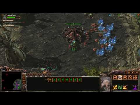 StarCraft 2: Shadow of the Brood 02 - The Coming Brood