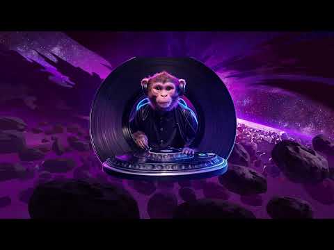 IL BALLO DELLA SCIMMIA REMIX (DJ SWAMP) who remix