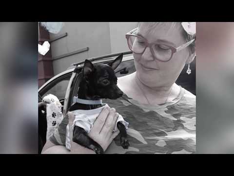 Portraits of Compassion: Marlene & Paws R Us