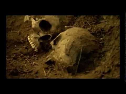 Scarlet Shore - Trailer