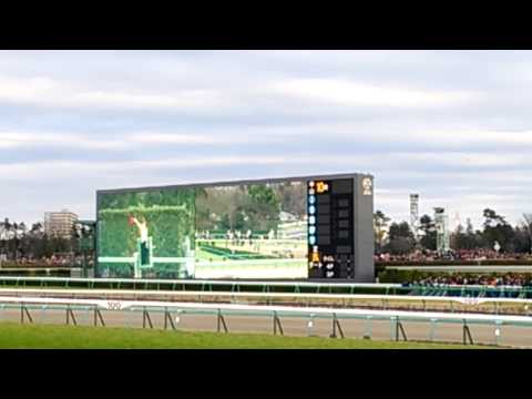 2015 有馬記念 ファンファーレ