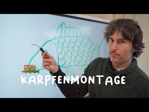 The best and easiest carp rig | Fish and Grips